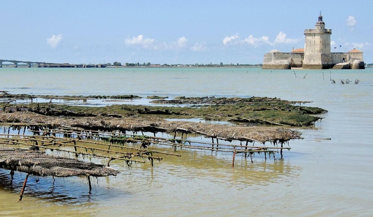 Gite Du Timbre Clion  المظهر الخارجي الصورة